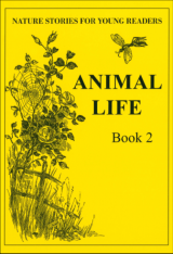 Animal Life